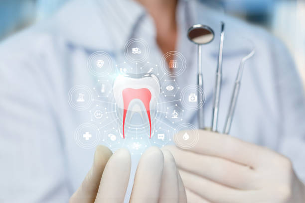 Best Full Mouth Reconstruction  in Wheaton, MD